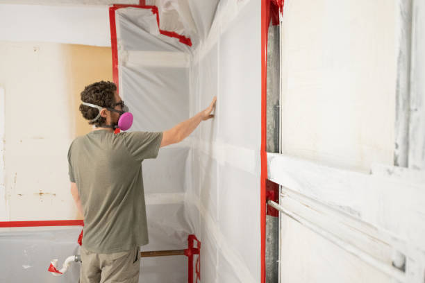 Best Commercial Mold Inspection  in South Point, OH